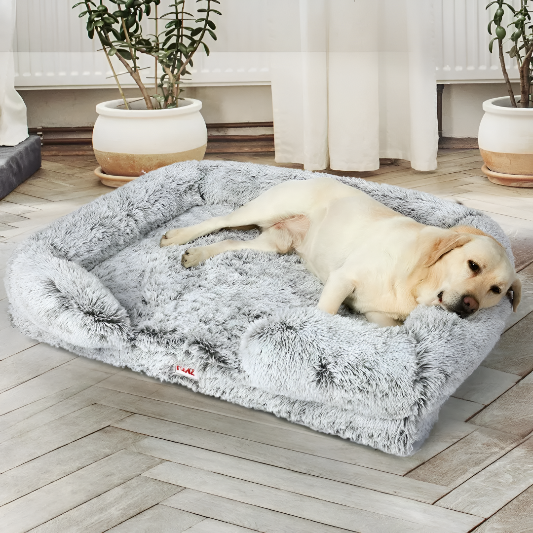 Creating a Cozy Pet Bed Space